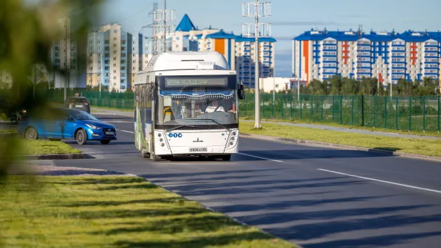 Фото: Фёдор Воронов / "Ямал-Медиа"