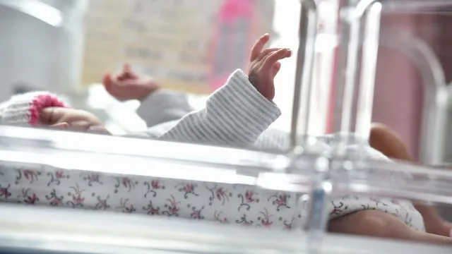 Суперсервис «Рождение ребенка» сокращает время на оформление документов. Фото: UzFoto / shutterstock.com / Fotodom
