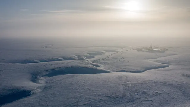 Фото: Стоян Васев