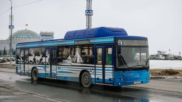 Газовые автобусы намного более экологические, чем бензиновые. Фото: Юлия Чудинова / «Ямал-Медиа»