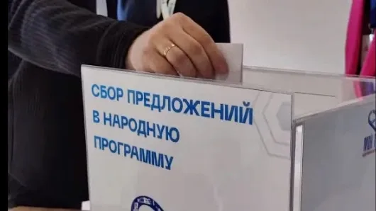 Сбор народных предложений уже начался. Фото: кадр со страницы vk.com/treskova_ma