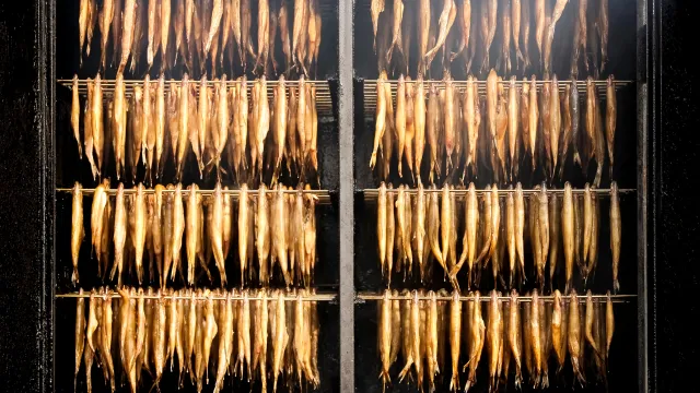 Новоуренгойский цех готов выдавать до 100 тонн различной рыбной продукции. Фото: StockPhotosLV / Shutterstock / Fotodom