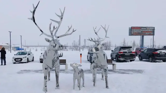 Семья серебряных оленей будет встречать гостей газовой столицы региона. Фото: Артём Осицкий / «Ямал-Медиа»