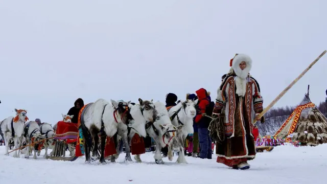 День оленевода в Аксарке считается наиболее ярким и насыщенным событием на Ямале. Фото: vk.com/ivansakal