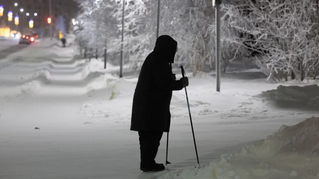 Свежий воздух и прогулки полезны в любом возрасте. Фото: Андрей Ткачёв / «Ямал-Медиа».