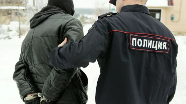Полицейские оперативно задержали одного из преступников. Фото: Nikolay Gyngazov / shutterstock.com / Fotodom