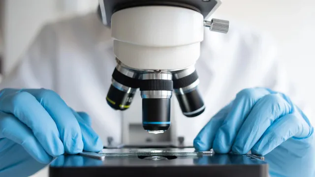 Генетический анализ поможет выявить наследственные заболевания. Фото: Kite_rin / Shutterstock / Fotodom