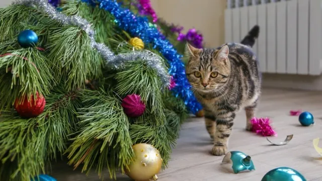 Новогодняя забава котиков – ронять елочку. Фото: Victoria 1/Shutterstock/Fotodom