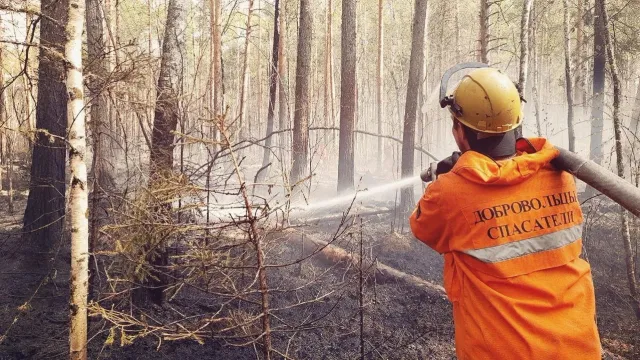 Добровольные помощники участвовали в тушении лесных пожаров. Фото: vk.com/artyukhov_da