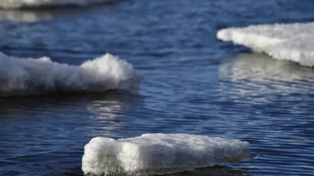 Основная масса льда уже прошла Горки и движется в сторону Салехарда. Фото: Андрей Ткачёв / «Ямал-Медиа»