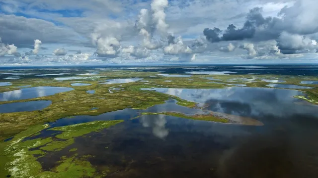 Фото: ФГБУ Национальный парк "Гыданский"
