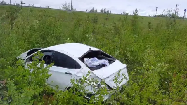 Автомобиль приземлился в кусты. Кадр из видео: t.me/gibdd89