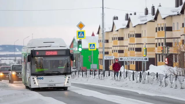 Фото: Юлия Чудинова / "Ямал-Медиа"