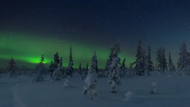 Фото: Анастасия Сергеева