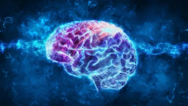 Мозг требует повышенного внимания и бережного отношения. Фото: Andrus Ciprian/Shutterstock/Fotodom