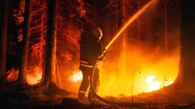 Огонь успел пройти 21 гектар леса. Фото: Gorodenkoff / shutterstock.com / Fotodom