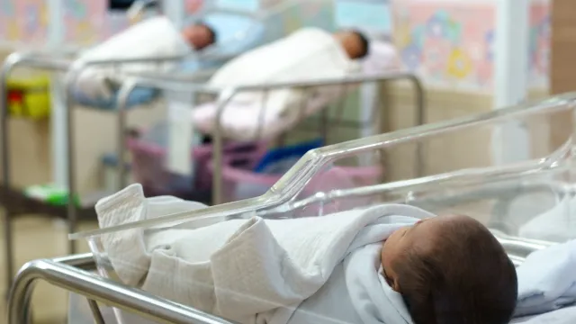 В 2023 году ямальские врачи спасли 280 маловесных младенцев. Фото: sukanya sitthikongsak / Shutterstock / Fotodom