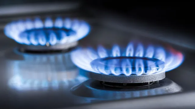 О смертельной опасности газовой плиты предупредили американские учёные