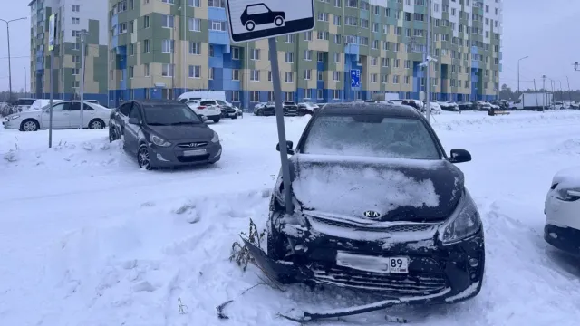 Фото предоставлено Госавтоинспекцией ЯНАО