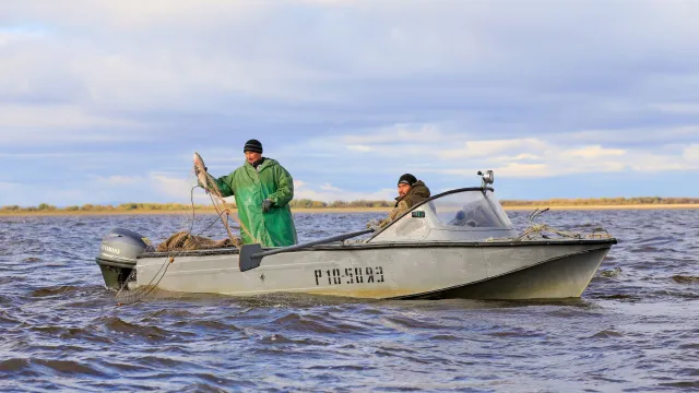 Рыбаки на промысле. Фото: Андрей Ткачев/"Ямал-Медиа"
