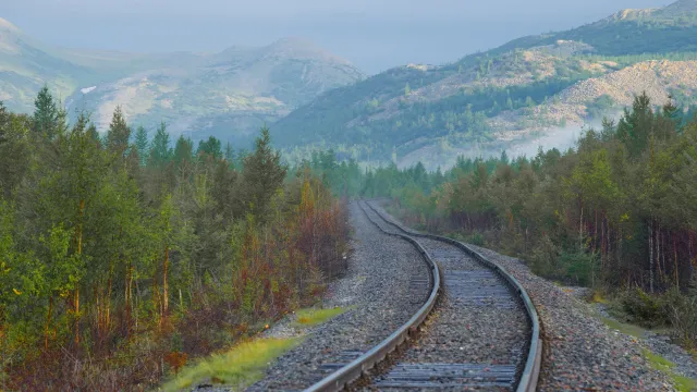 Специалистов готовят для дороги Обская — Бованенково. Фото: Karasev Viktor / shutterstock.com / Fotodom