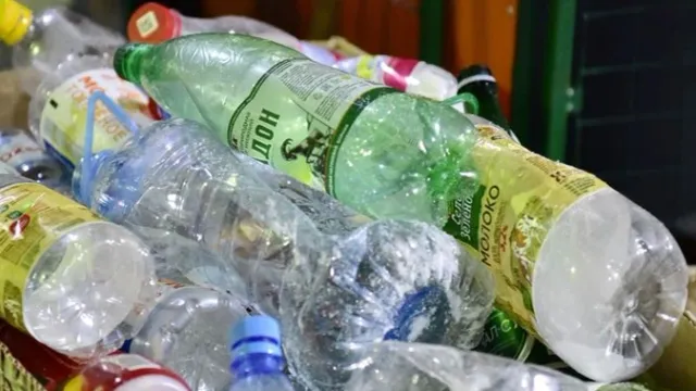 Одних только пластиковых бутылок в фандомат сдали 79 589 штук. Фото: Андрей Ткачёв / "Ямал-Медиа"