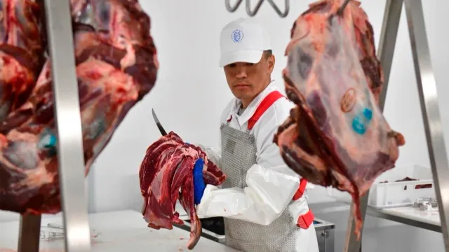До нового года на Ямале планируют заготовить более 2200 тонн мяса. Фото: Андрей Ткачёв / «Ямал-Медиа»