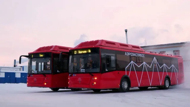 Два брендированных автобуса выйдут на новый маршрут с 1 января. Фото: предоставлено пресс-службой губернатора ЯНАО