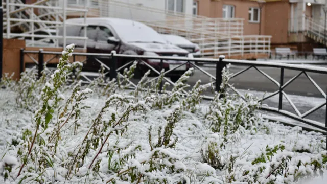 Буквально за пять дней весь Ямал накроет снежным покрывалом. Фото: Андрей Ткачёв/ «Ямал-Медиа»