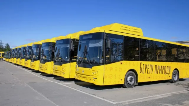 Ямал получил новые пассажирские автобусы. Фото: пресс-служба губернатора ЯНАО
