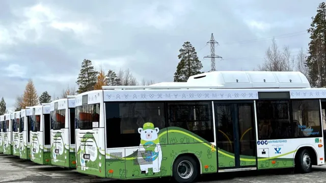 Новые автобусы – экологичные, теплые и очень красивые. Фото: t.me/Elena_Moldovan
