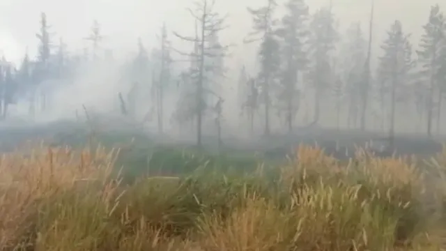 Лесной пожар под Лонгъюганом. Фото: скриншот видео Виктора Тенюкова