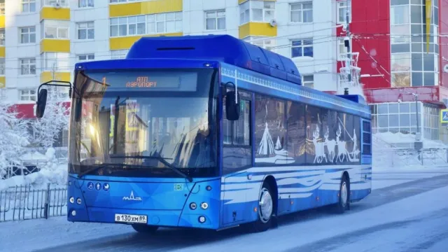 В Салехарде экологичные автобусы украшены рисунками на северные мотивы. Фото: Андрей Ткачев/"Ямал-Медиа"