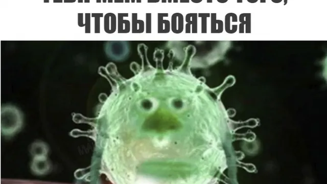 «Пандемия – дело серьезное»: самые популярные мемы и ролики про коронавирус 