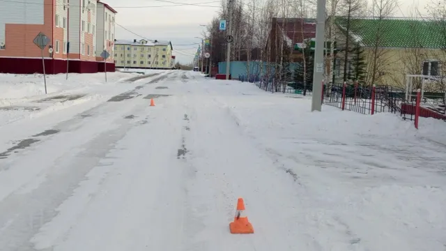 Фото: пресс-служба Госавтоинспекции ЯНАО