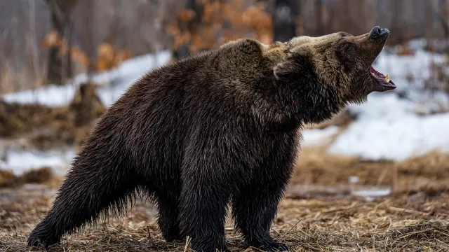 Фото: Suvorov_Alex/Shutterstock/Fotodom