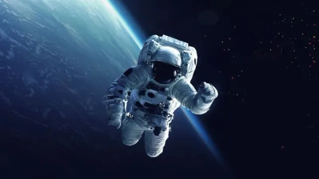 Фото: Vadim Sadovski/Shutterstock/Fotodom