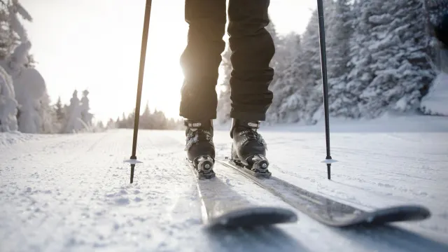 Российские спортсмены на Паралимпиаде завоевали золотые медали. Фото: Maridav / Shutterstock / Fotodom