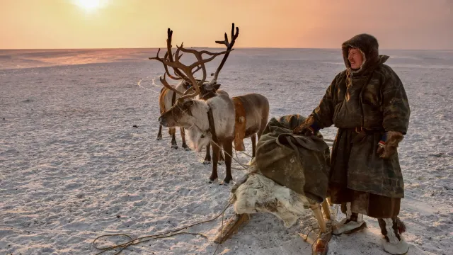 Фото: nenets/Shutterstock/Fotodom