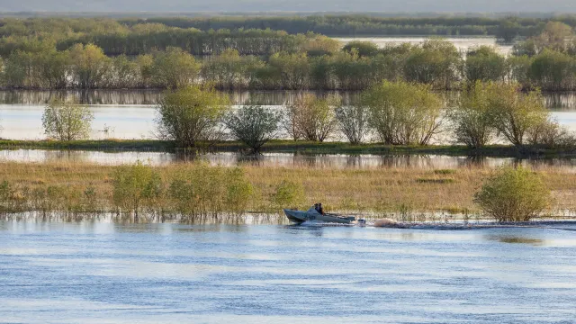 Фото: Фёдор Воронов / «Ямал-Медиа»