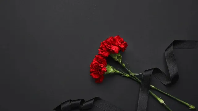 Фото: Pixel-Shot/Shutterstock/Fotodom