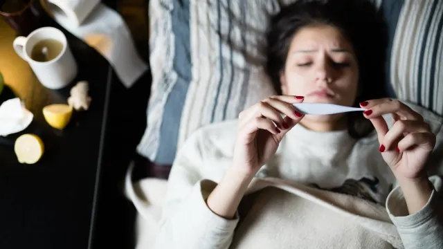 Фото:  eldar nurkovic / Shutterstock / Fotodom