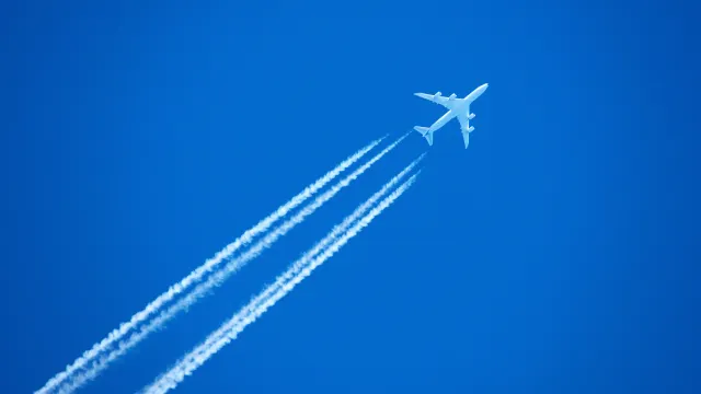 Фото: Dmitrijs Mihejevs / Shutterstock / Fotodom