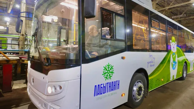 Новые машины готовят к выходу на маршруты. Фото: vk.com/treskova_ma
