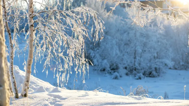На Руси 22 ноября отмечали день Матрён зимних. Фото: Фёдор Воронов / «Ямал-Медиа»