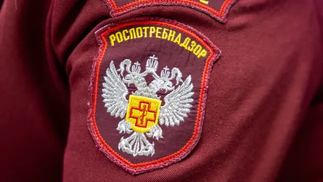 Фото: Александр Чирва / «Ямал-Медиа»