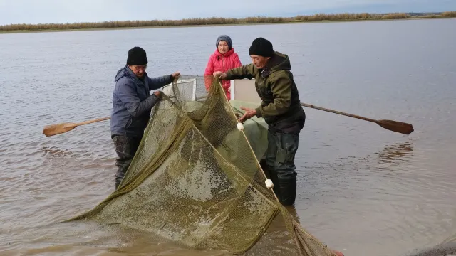 Ӆуӊ порайн Горковской рыбозаводан няӆъяӊ пеӆа ӆапат хуӆ веӆпасӆаты тахайн рыбакат рупитсат. Хор: Альбина Тырлина