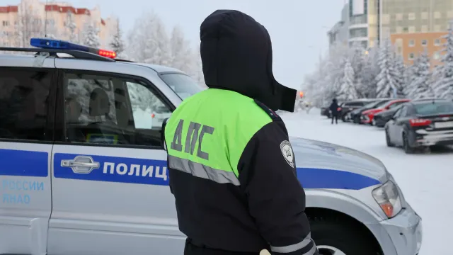 Фото: Андрей Ткачёв / «Ямал-Медиа»