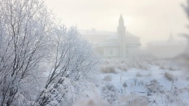 Фото: Фёдор Воронов / «Ямал-Медиа»