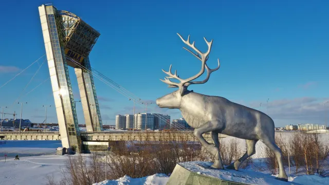Фото: Андрей Ткачёв / «Ямал-Медиа»